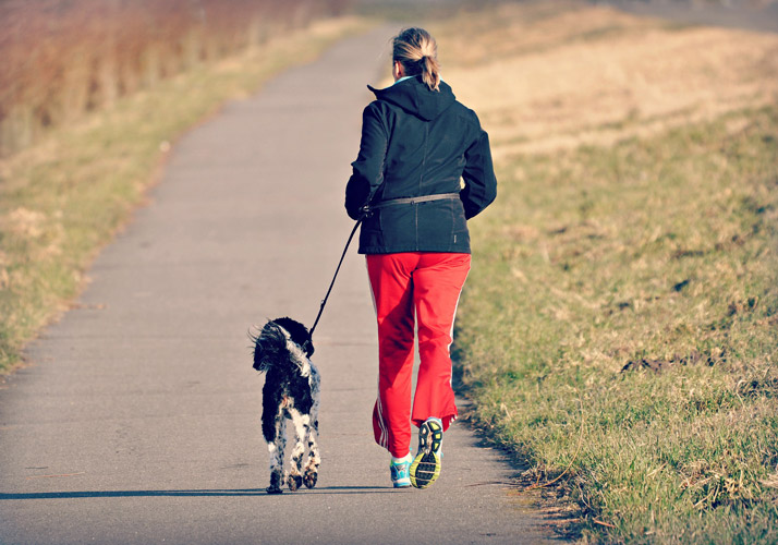 Forum Waldegg, Bewegung mit & für Ihren Hund, Aktives Gassi gehen, Fitnesswalk, Gassi gehen mit Hund, aktives Laufen mit Hund