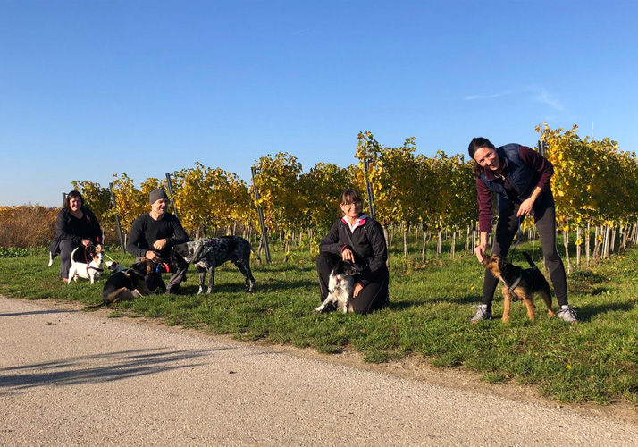 Forum Waldegg, Bewegung mit & für Ihren Hund, Aktives Gassi gehen, Fitnesswalk, Gassi gehen mit Hund, aktives Laufen mit Hund